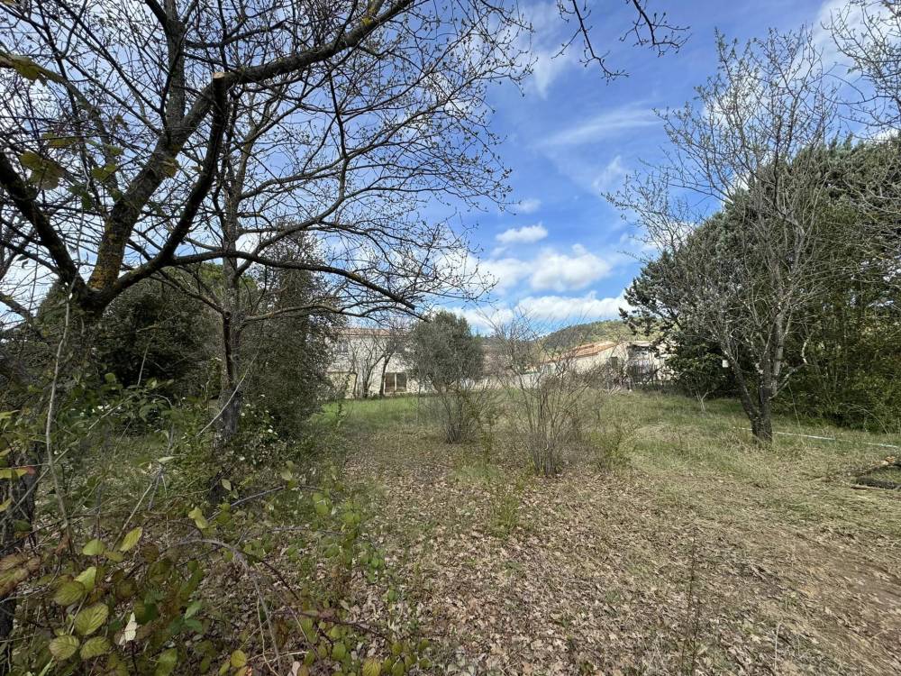 Terrain constructible